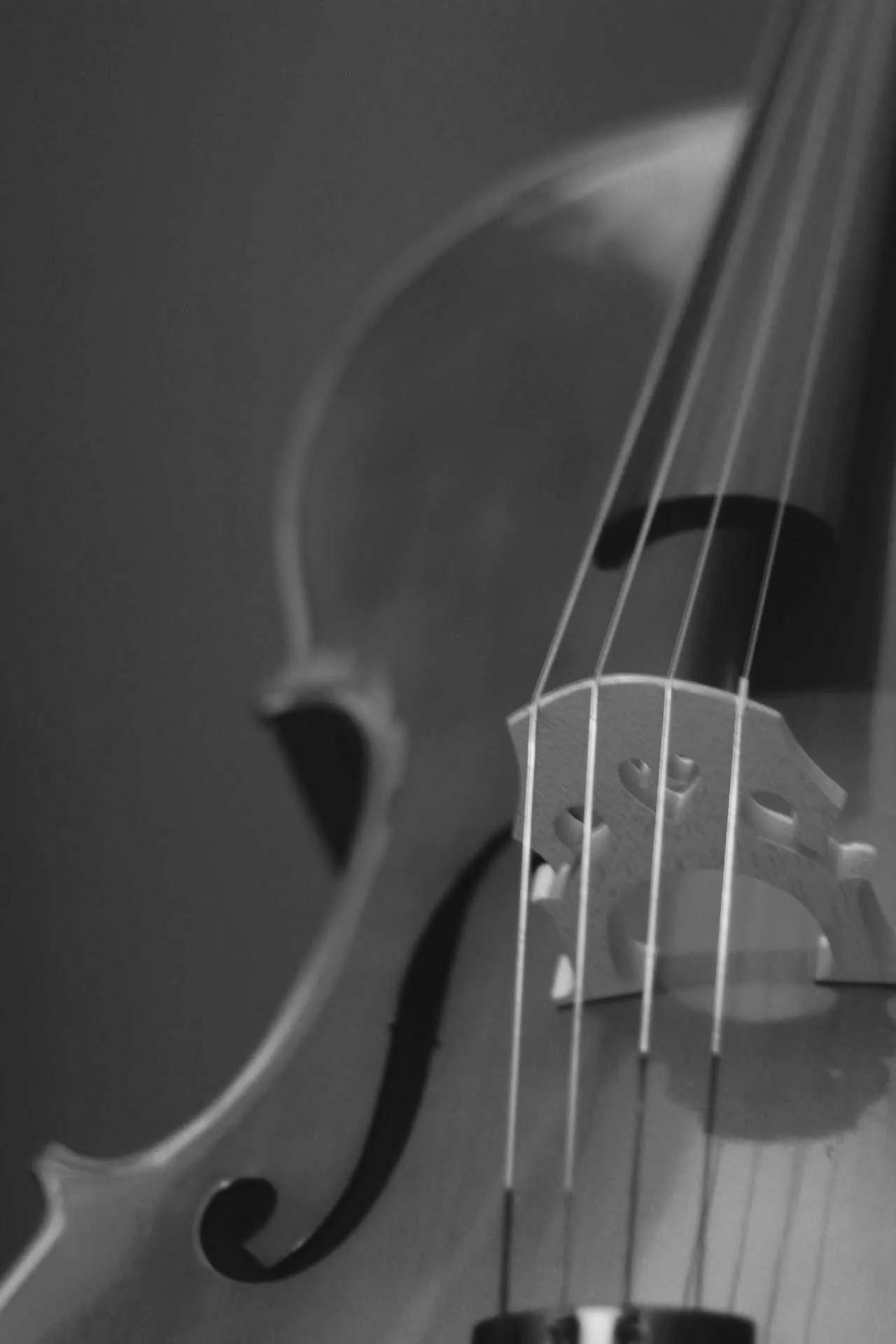 Violín